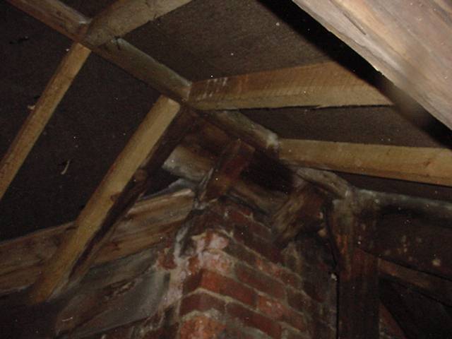 Conditions in this roof are ideal for dry rot