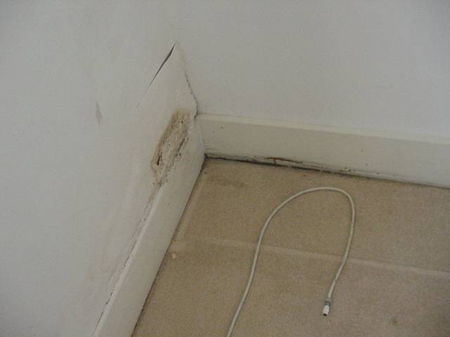 Dry rot at bottom of the skirting where cable curls round