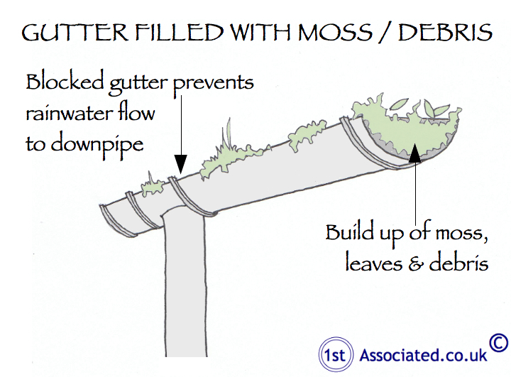 gutter with moss