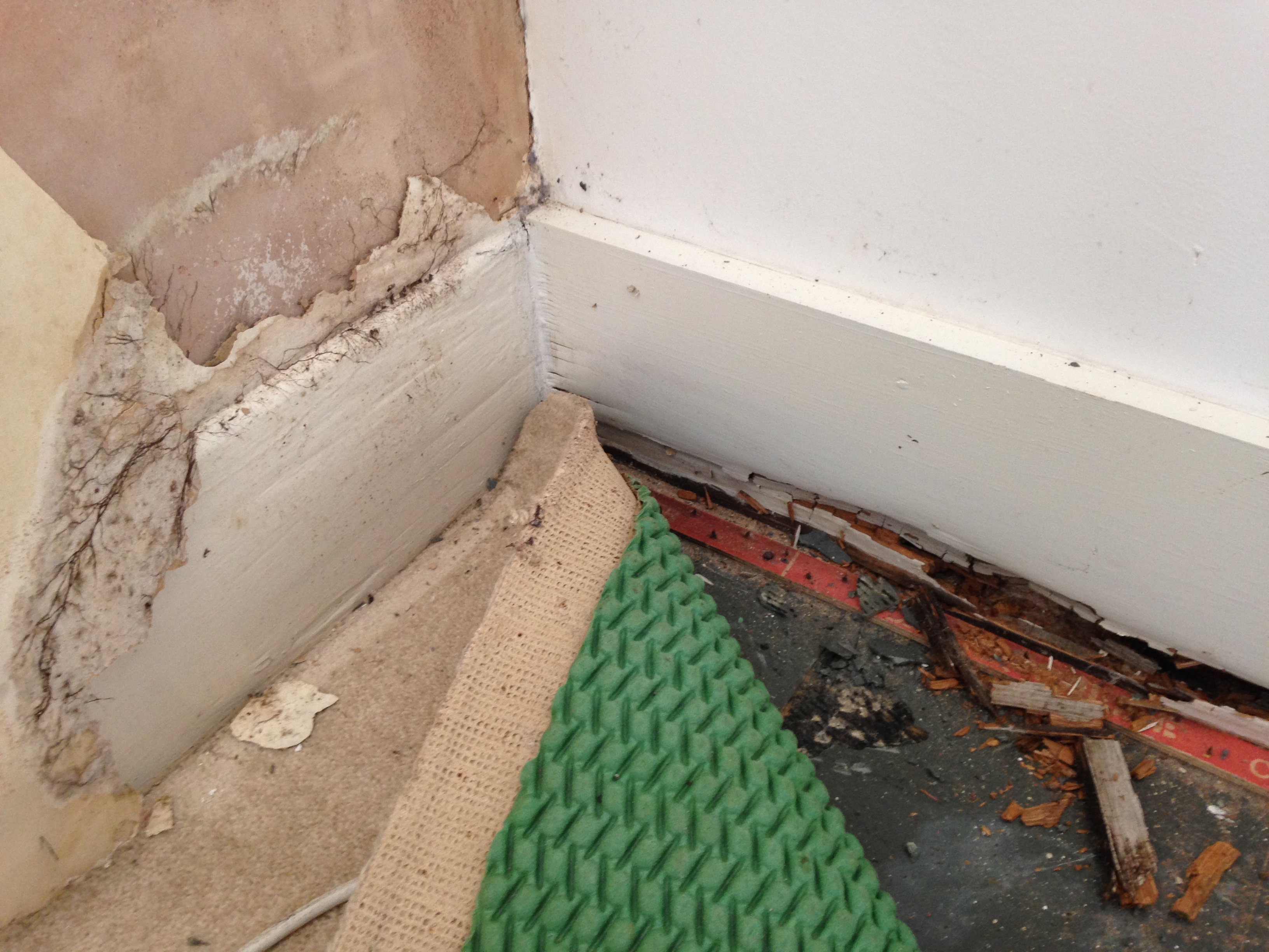 Dry rot is the worst thing that can happen to a property