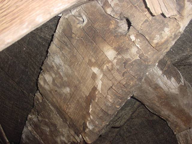 Dry rot in the roof